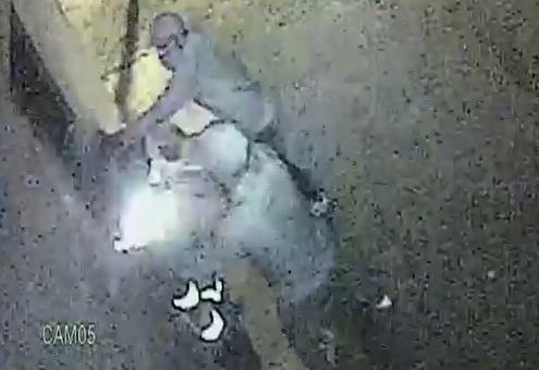 Violencia sin fin: golpearon a un barrendero para robarle | Información General