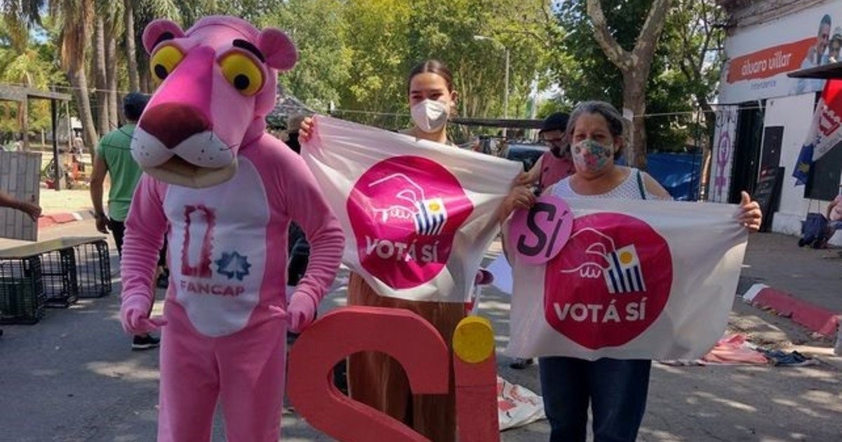 Prohíben usar a la Pantera Rosa en la campaña política en Uruguay | Internacionales