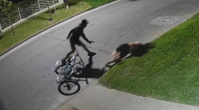 Violento robo en City Bell: empujaron a una chica contra el cordón para sacarle la bicicleta y el celular | Información General