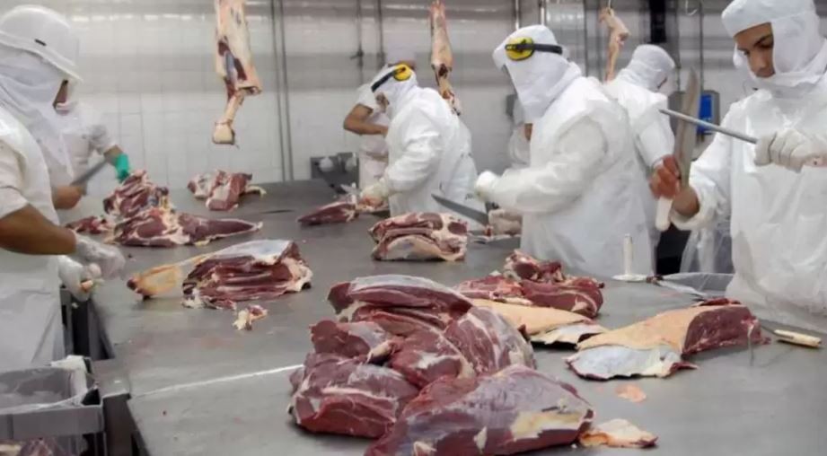 Advierten sobre un brote de “Fiebre Q” en un frigorífico de Entre Ríos | Información General