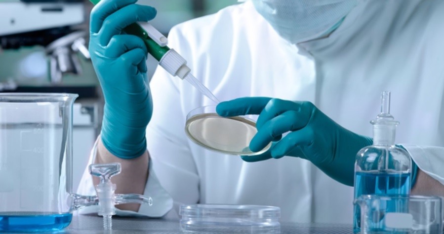 Expectativa por la primera vacuna argentina anticovid: estaría antes de fin de año | Información General