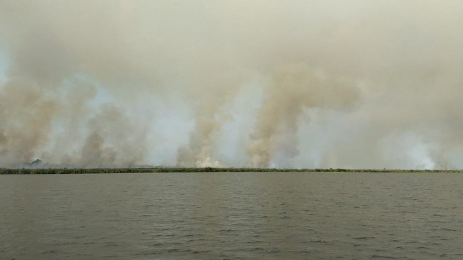 Los incendios en Corrientes alcanzaron el ingreso a los Esteros del Iberá | Información General