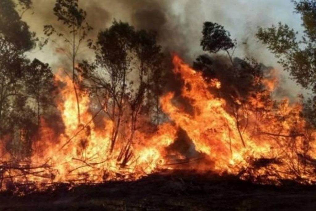 Mauricio Macri apuntó contra el Gobierno por los incendios en Corrientes: "Nunca respondieron" | Política