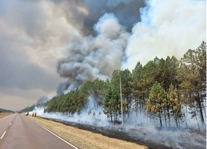 Las lluvias comienzan a dar esperanza en la lucha contra los incendios en Corrientes | Información General