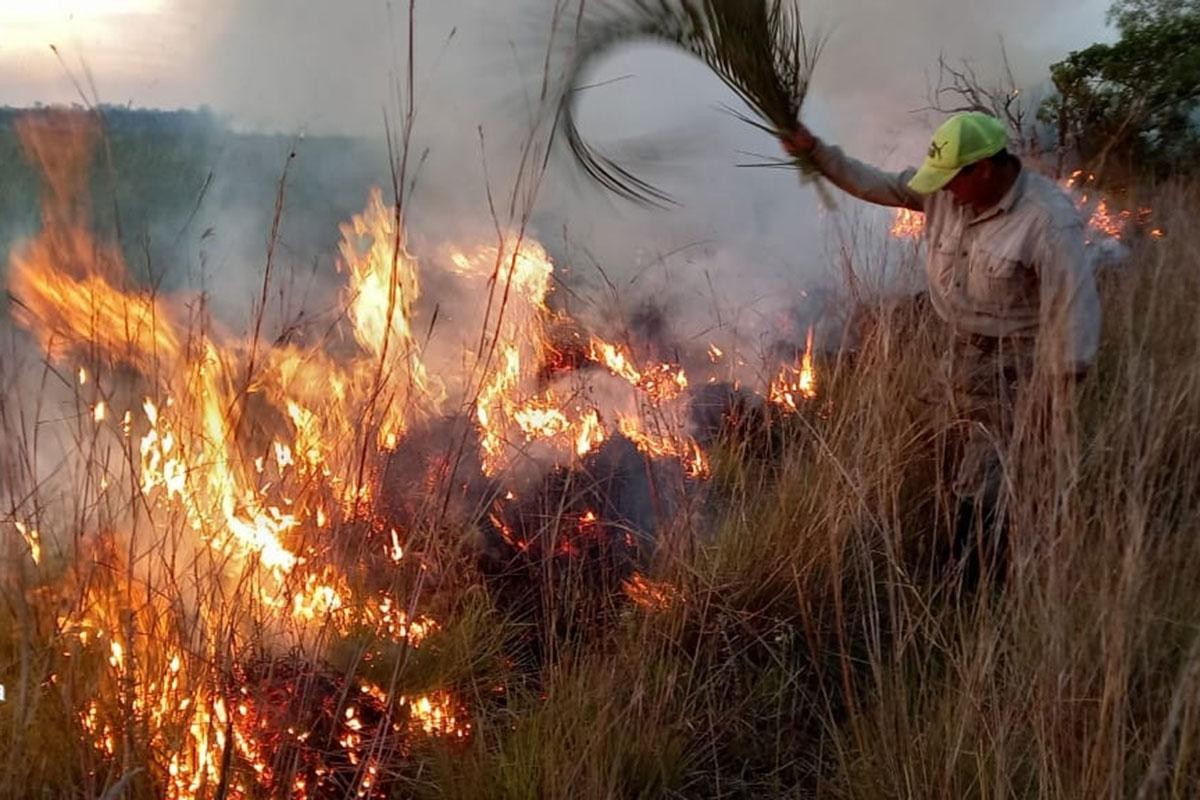 Incendios en Corrientes: las pérdidas ascienden a los $26 mil millones y ya hay 800 mil hectáreas quemadas | Información General