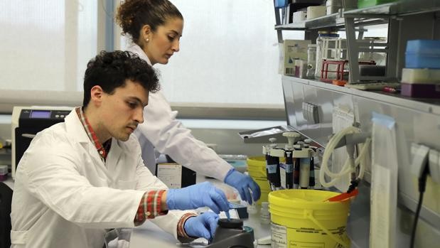 Investigadores españoles frenaron con un fármaco la metástasis en cáncer de mama | Internacionales
