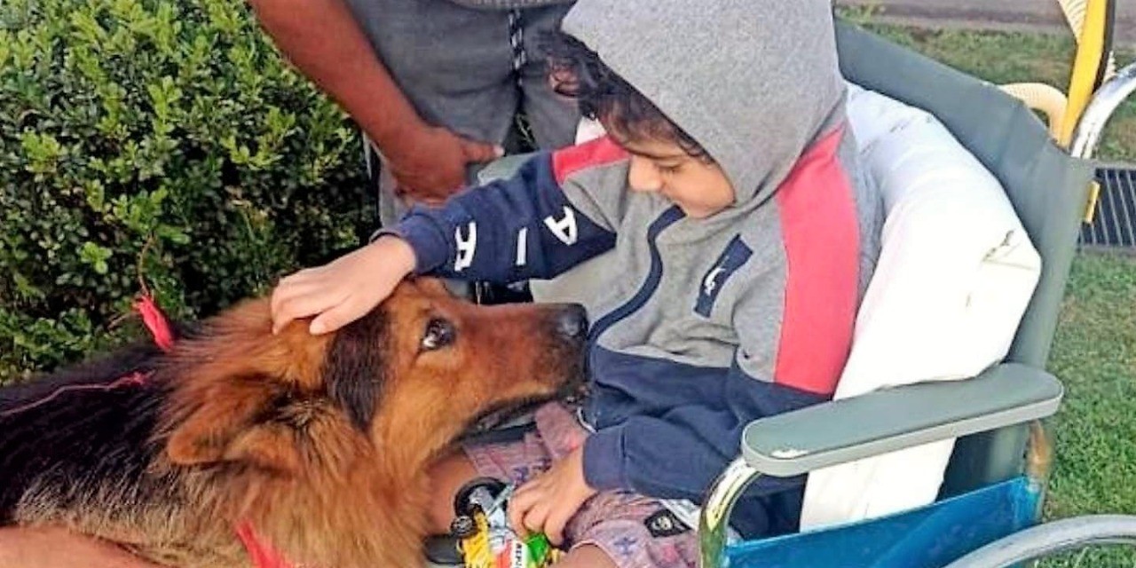 Terapia hospitalaria con las propias mascotas de los pacientes | Servicios