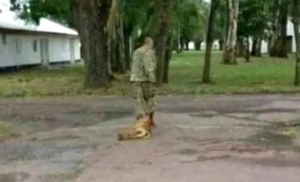 Hallaron muerto en un parque al militar acusado de matar a un perro | Información General