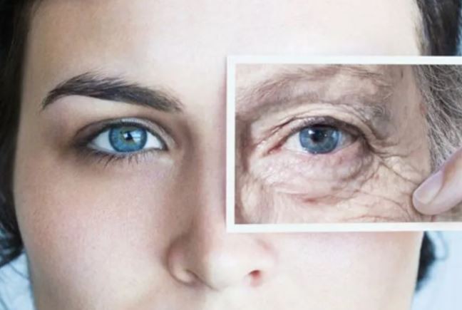 Afirman que cada órgano humano tiene su propio ritmo de envejecimiento | Tecnología