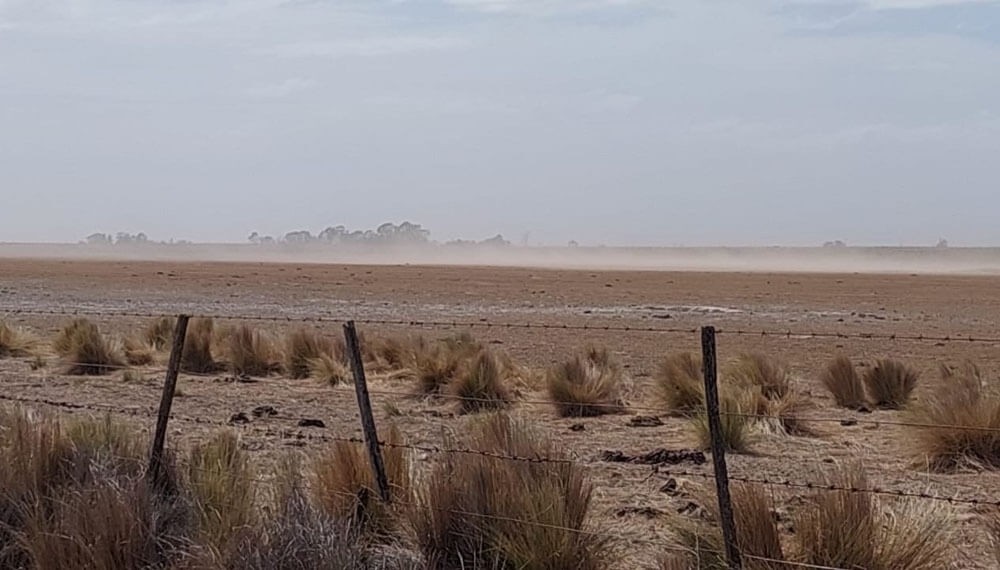 El Ministerio de Agricultura declaró la emergencia agropecuaria en Patagones | Información General
