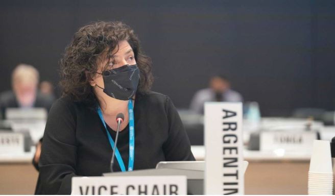 Vizzotti confirmó que hay más de un virus respiratorio en circulación e insistió en el uso del tapabocas | Información General