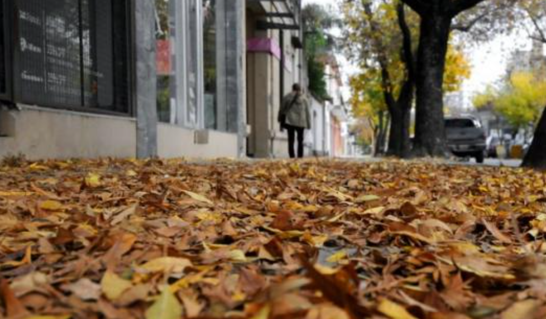 Comenzó el otoño con cielo nublado, fresco e inestable en la ciudad | Servicios