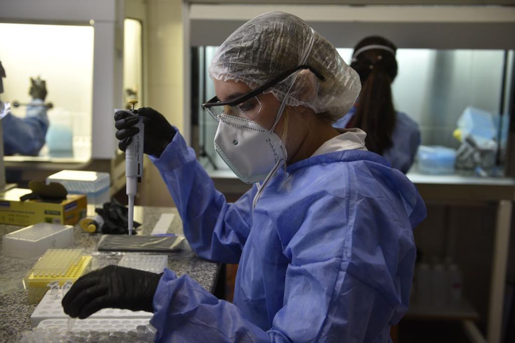 Detectaron casos de la subvariante BA.2 de Ómicron en Argentina | Información General