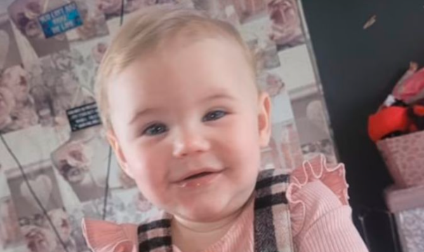 Adoptaron un perro y a la semana mató a su bebé de un año | Tecnología