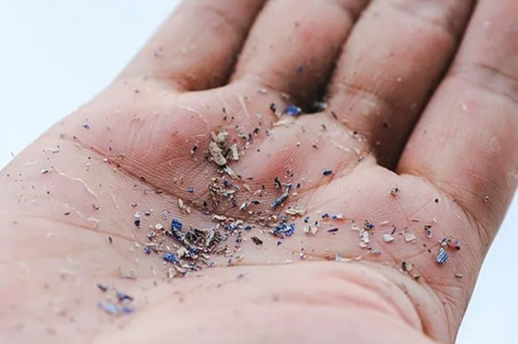 Hallaron por primera vez microplásticos en la sangre humana | Internacionales