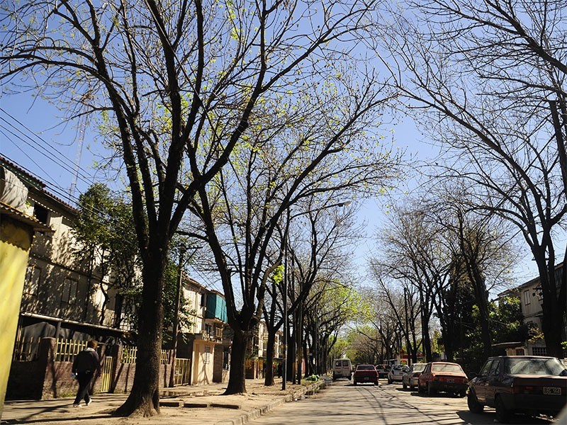 Crimen en el Fonavi: murió tras agonizar 9 días en el Heca | Rosario y la región