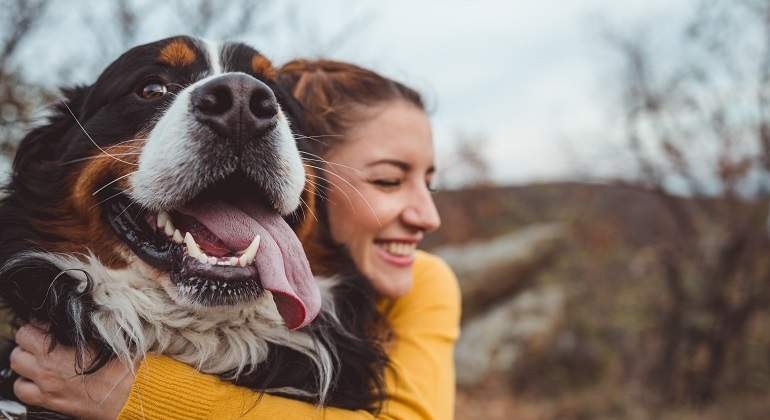 El pedido de una veterinaria que se hizo viral: "No dejes que tu perro se muera solo" | Tecnología