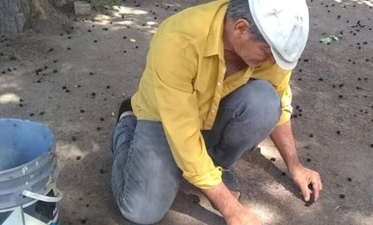 Un albañil demandará a su padre bodeguero por 100 millones de pesos | Información General