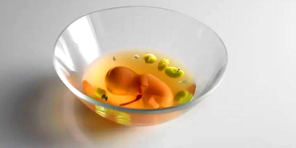 Polémica por un restaurante que creó un plato que simula un feto | Internacionales