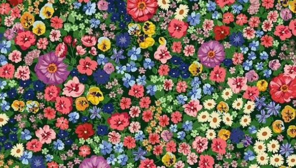 Encontrá la abeja en el jardín en menos de 10 segundos | Tecnología