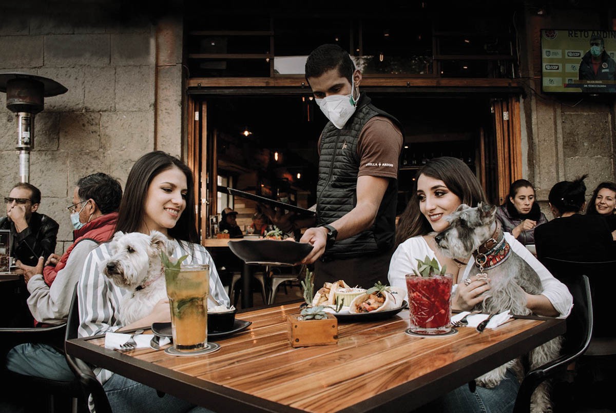 Abren registro en Rosario de alojamientos, bares y restaurantes pet friendly | Rosario y la región