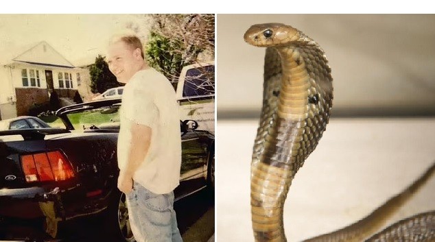 Tenía 124 serpientes en su casa: lo hallaron muerto por "envenenamiento accidental" | Internacionales