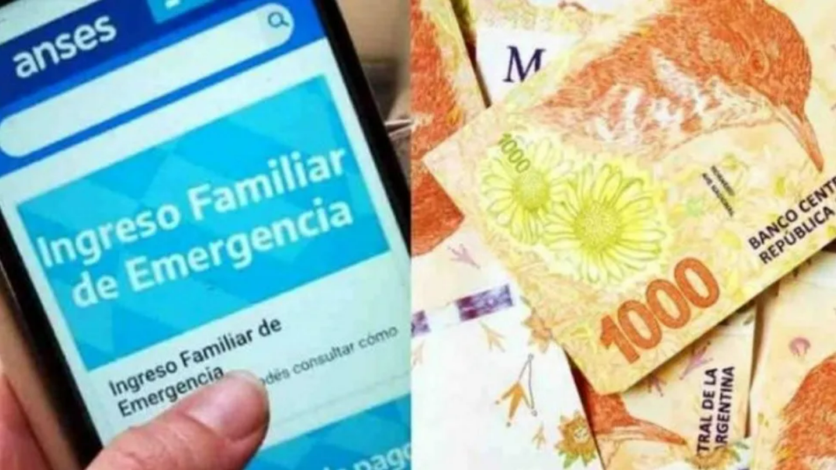 Cómo hacer para acceder al nuevo “IFE” que entregará el Gobierno Nacional | Servicios