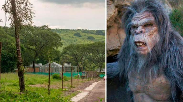 Salta: aseguran haber visto un "ucumar", un animal mítico del norte argentino | Información General