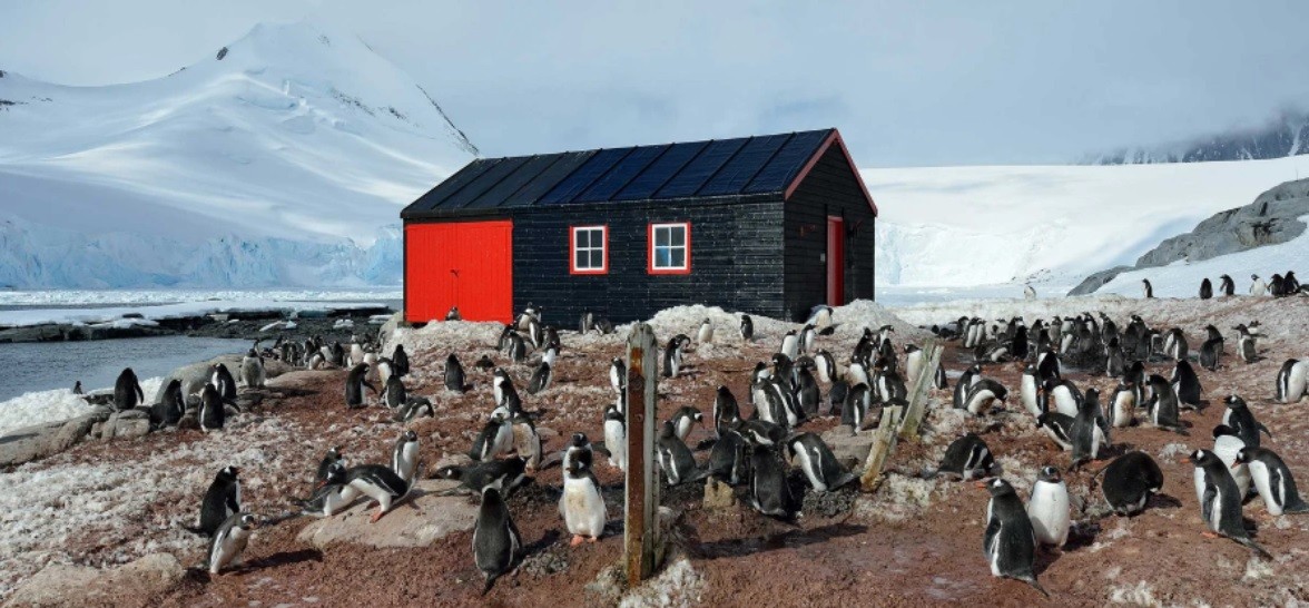 Búsqueda laboral en la Antártida: hasta US$ 2300 mensuales para ayudar a contar pingüinos | Información General