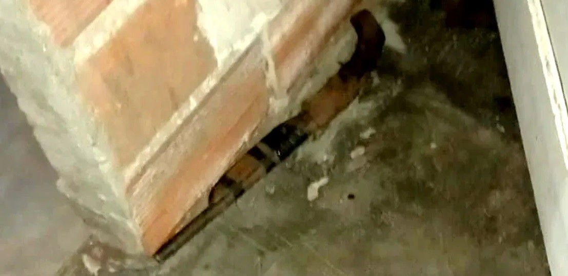 Tras discutir con su pareja, le disparó con una escopeta a ella y a su hijo de 6 años | Información General