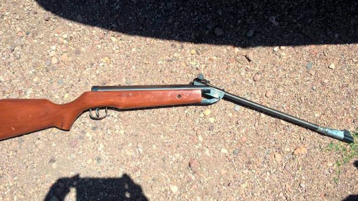 Hirieron a un chofer de colectivo con un arma de aire comprimido en Mendoza | Información General
