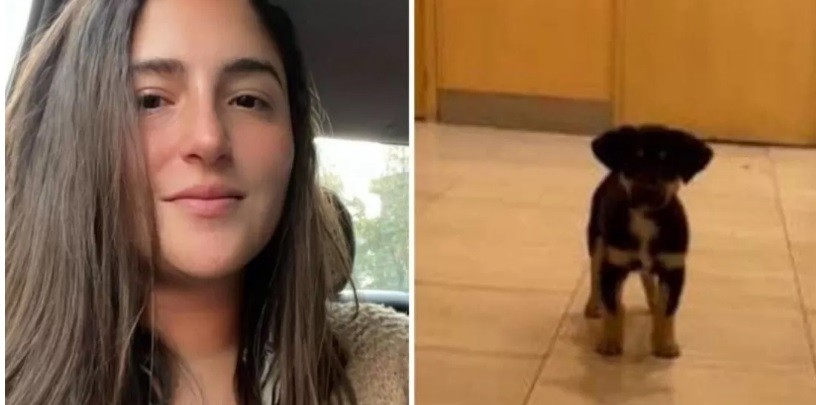 Le robó el perro a un indigente para rescatarlo y la escracharon en redes | Información General