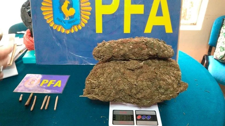 Incautaron un kilo de marihuana en un colegio: se sospecha que los alumnos tenían una cosecha dentro | Información General