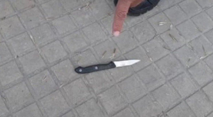 Una joven de 27 años forcejeó con un motochorro, le sacó el cuchillo y lo mató | Información General