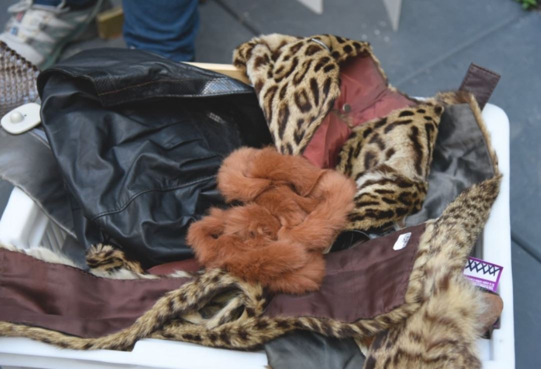 Secuestraron indumentaria realizada con cuero de animales en peligro de extinción | Información General