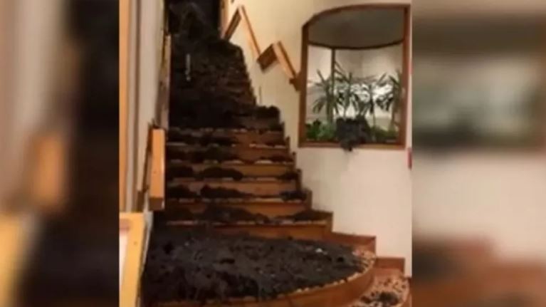 Un árbol cayó sobre un hotel de Bariloche: murió un turista y hay tres heridos | Información General