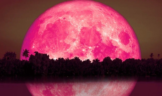 Superluna de fresa: dónde y a qué hora se podrá disfrutar desde Argentina | Información General