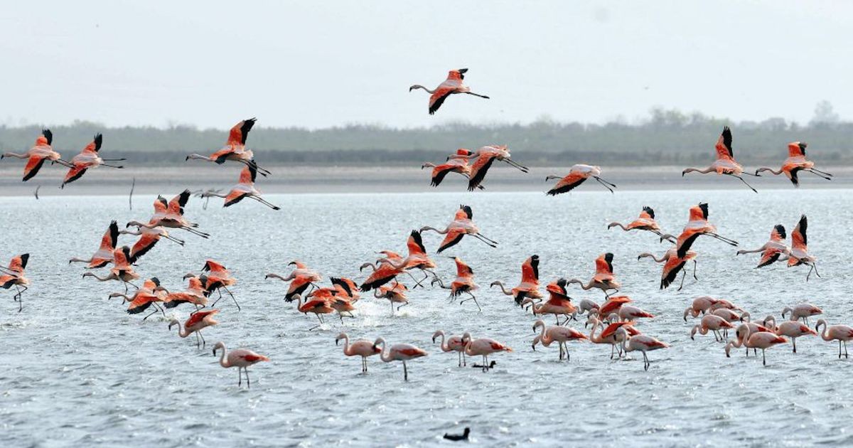 Diputados aprueba la creación de Parques Nacionales en Río Negro, Entre Ríos y Córdoba | Información General
