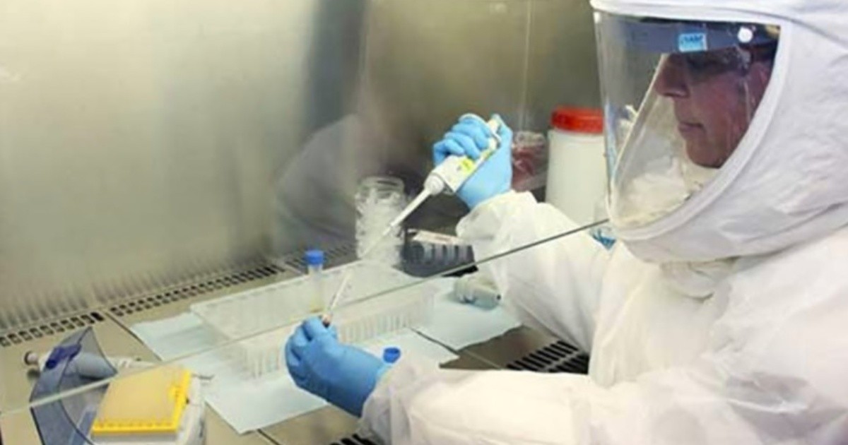 Evalúan nuevo caso sospechoso de viruela del mono en Mendoza | Información General