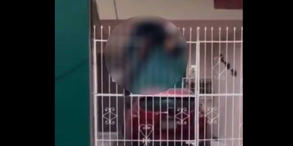 Video: entró a robar a un edificio, cayó de un segundo piso y quedó clavado en una reja | Internacionales