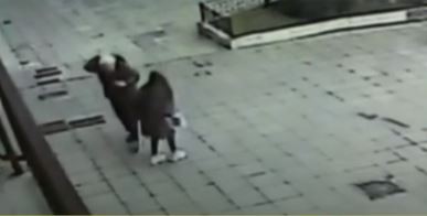 Guillermo Coppola recibió un palazo en la cabeza mientras se tomaba una selfie con una fan | Información General