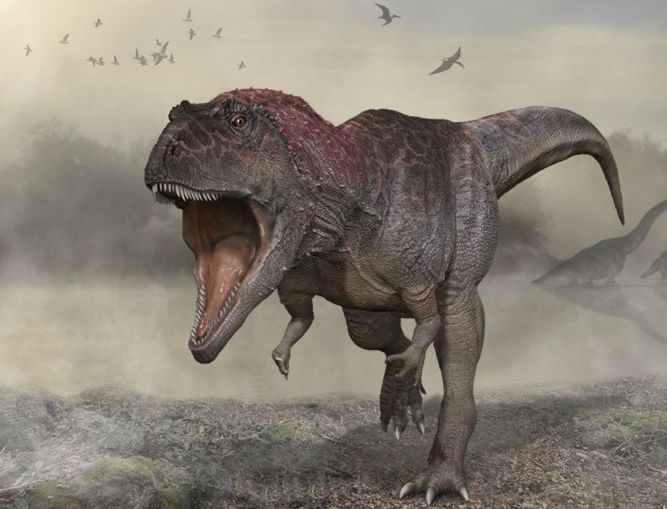 Meraxes Gigas: presentaron un nuevo dinosaurio carnívoro gigante hallado en la Argentina | Información General