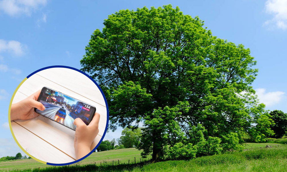 Su madre le prohibió jugar al Free Fire y amenazó con tirarse de un árbol | Internacionales