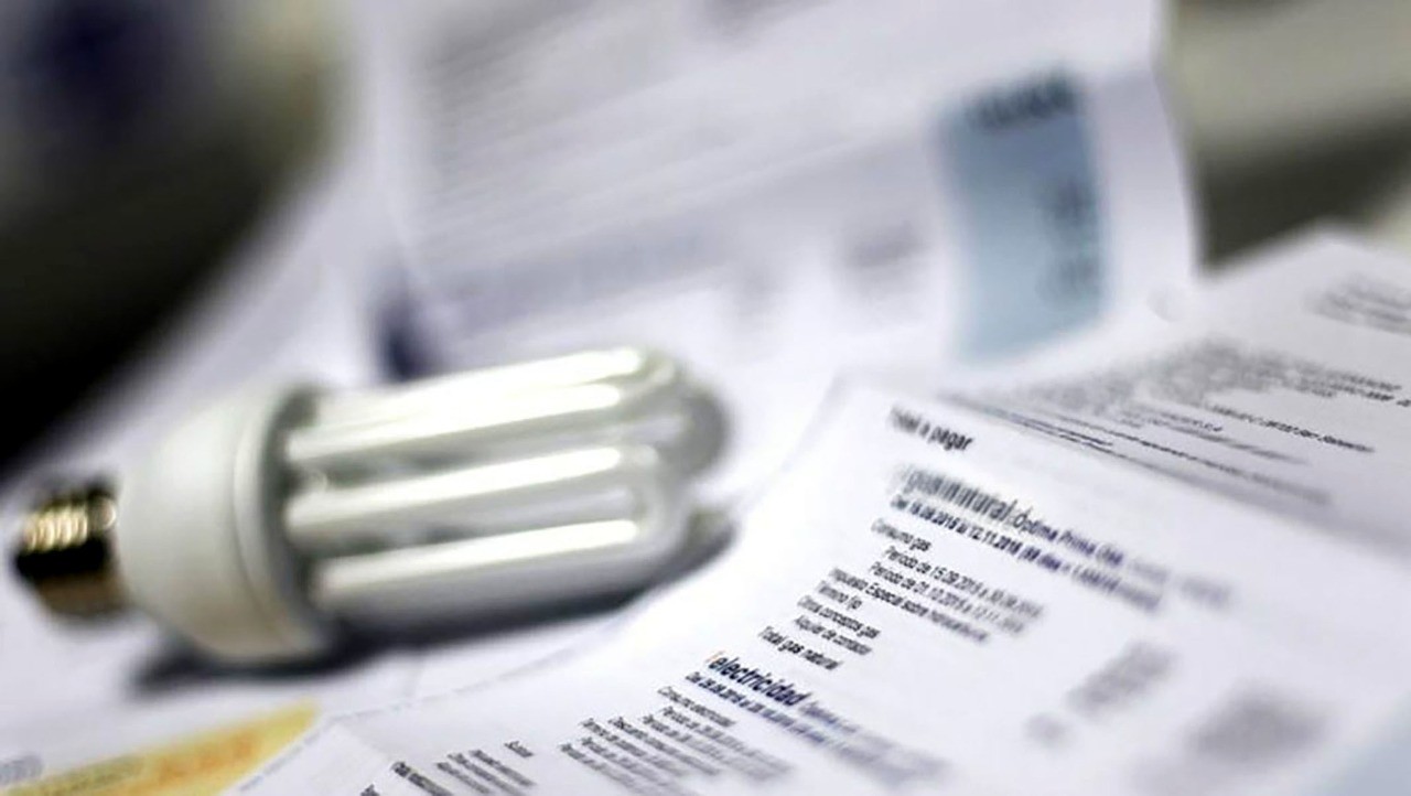 Subsidios de tarifas: Anses habilitará turnos para que los usuarios puedan realizar el trámite presencial | Servicios