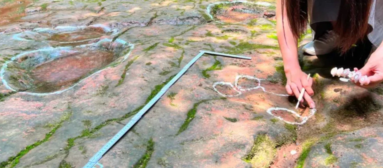 Comía en un restaurante y en el patio encontró huellas de dinosarios de hace 100 millones de años | Internacionales