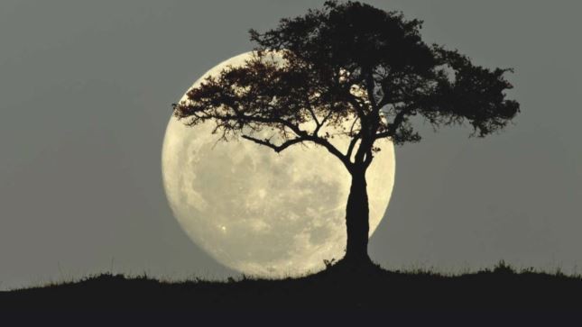 Cuándo y dónde se podrá ver la última Superluna del año | Información General