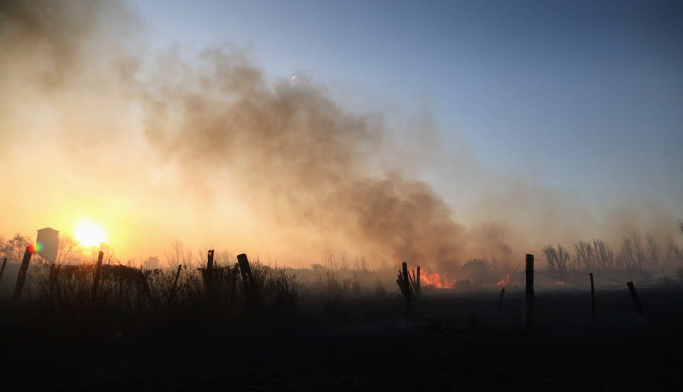 Concejal rosarino pide la llegada de las Fuerzas Armadas para frenar el "ecocidio" | Política