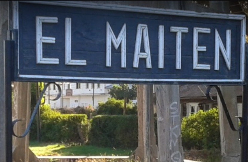 Un perro apareció ante su dueño con un cráneo humano: investigan si es de un hombre desaparecido | Información General