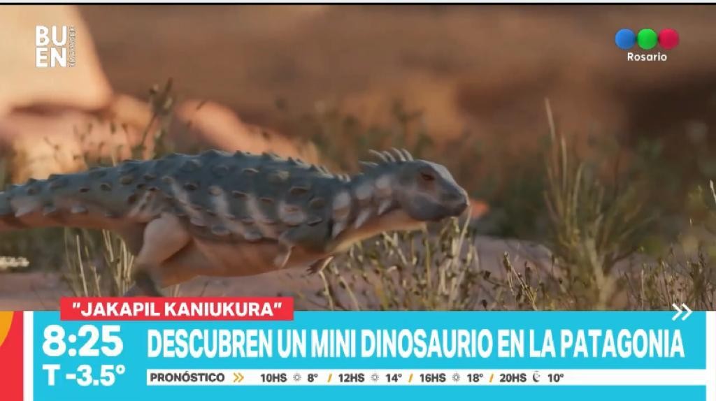 Hallaron un mini dinosaurio en la Patagonia | Tecnología
