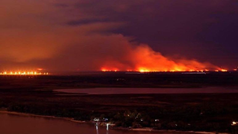 Perotti también pide que las Fuerzas Armadas intervengan en los incendios en las islas | Rosario y la región